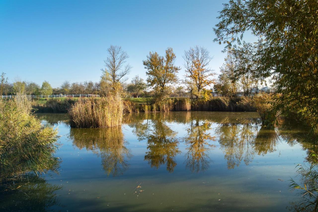 Csodaszarvas Vendeghazak Rabahidveg Bagian luar foto