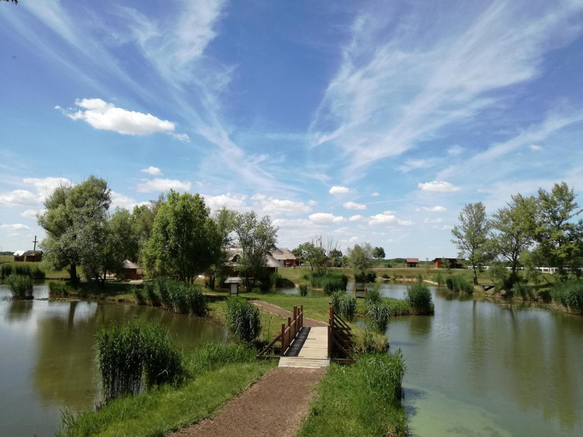 Csodaszarvas Vendeghazak Rabahidveg Bagian luar foto