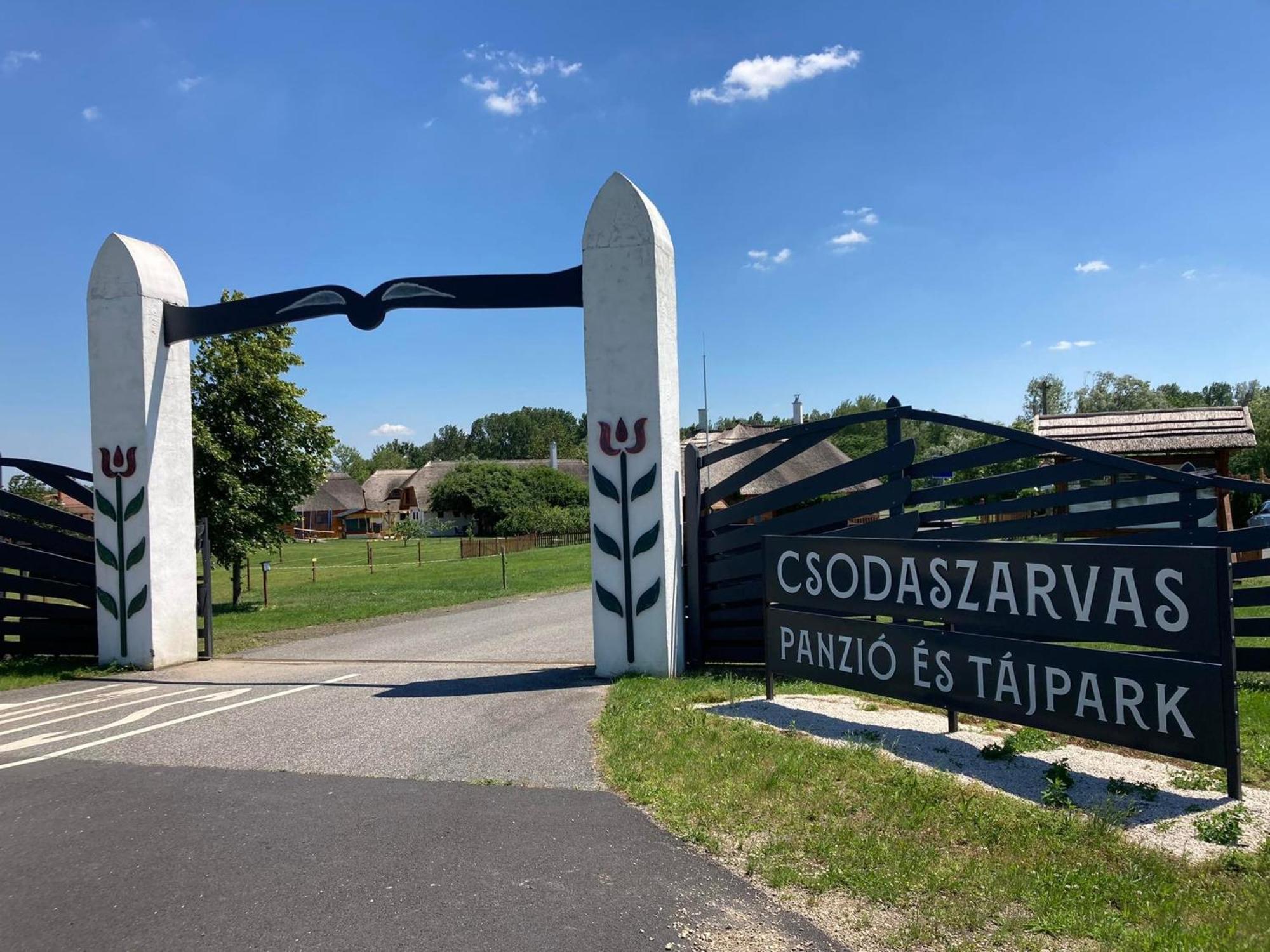 Csodaszarvas Vendeghazak Rabahidveg Bagian luar foto